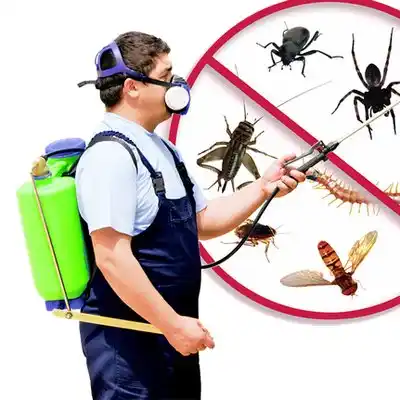pest control Gunnison